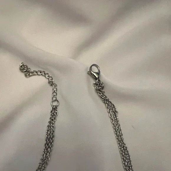 NWOT - Black Tusk Earrings & Stainless Steel Silver Necklace with Huggie & Tusk - Picture 7 of 12